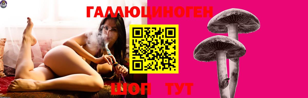 Галлюциногенные грибы мухоморы  Псилоцибиновые грибы Psilocybe  Вход с VPN  Рассказово 